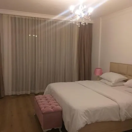 Daily Tour Rent *