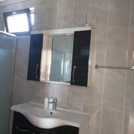 Daily Tour Rent
