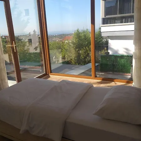 Daily Tour Rent *