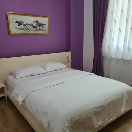 Daily Tour Rent Villa Eskiomerler